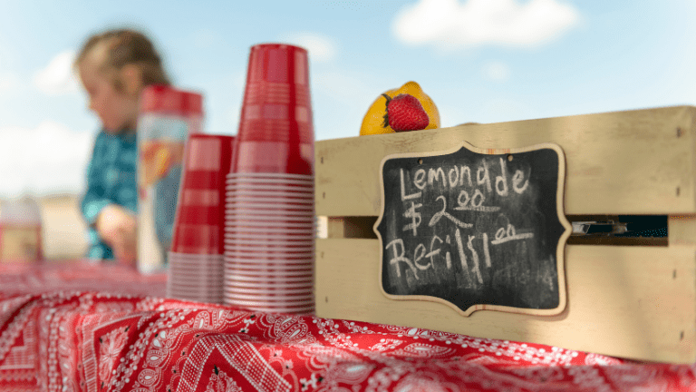 set up lemonade stand